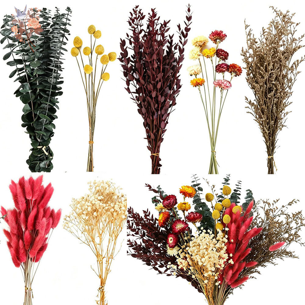 Florist Supply Bulk - ชุดดอกไม้แห้งแบบขายส่ง 7 ชนิด ใบยูคาลิปตัสธรรมชาติ ช่อดอกไม้หลากสี สำหรับงานแต่งงาน